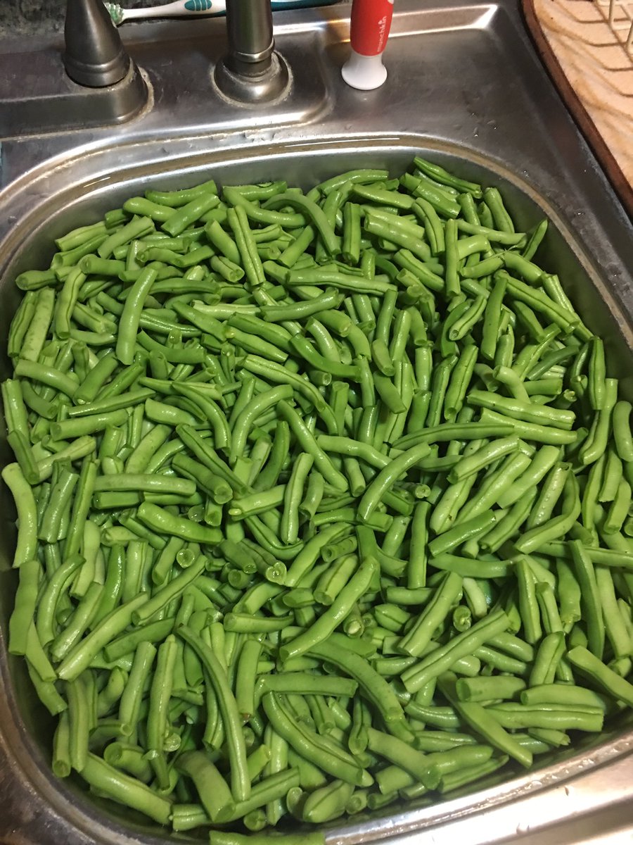 LanzoneKurt's tweet photo. I'm about tired of putting up green beans. https://t.co/RV9ZlzG5pi