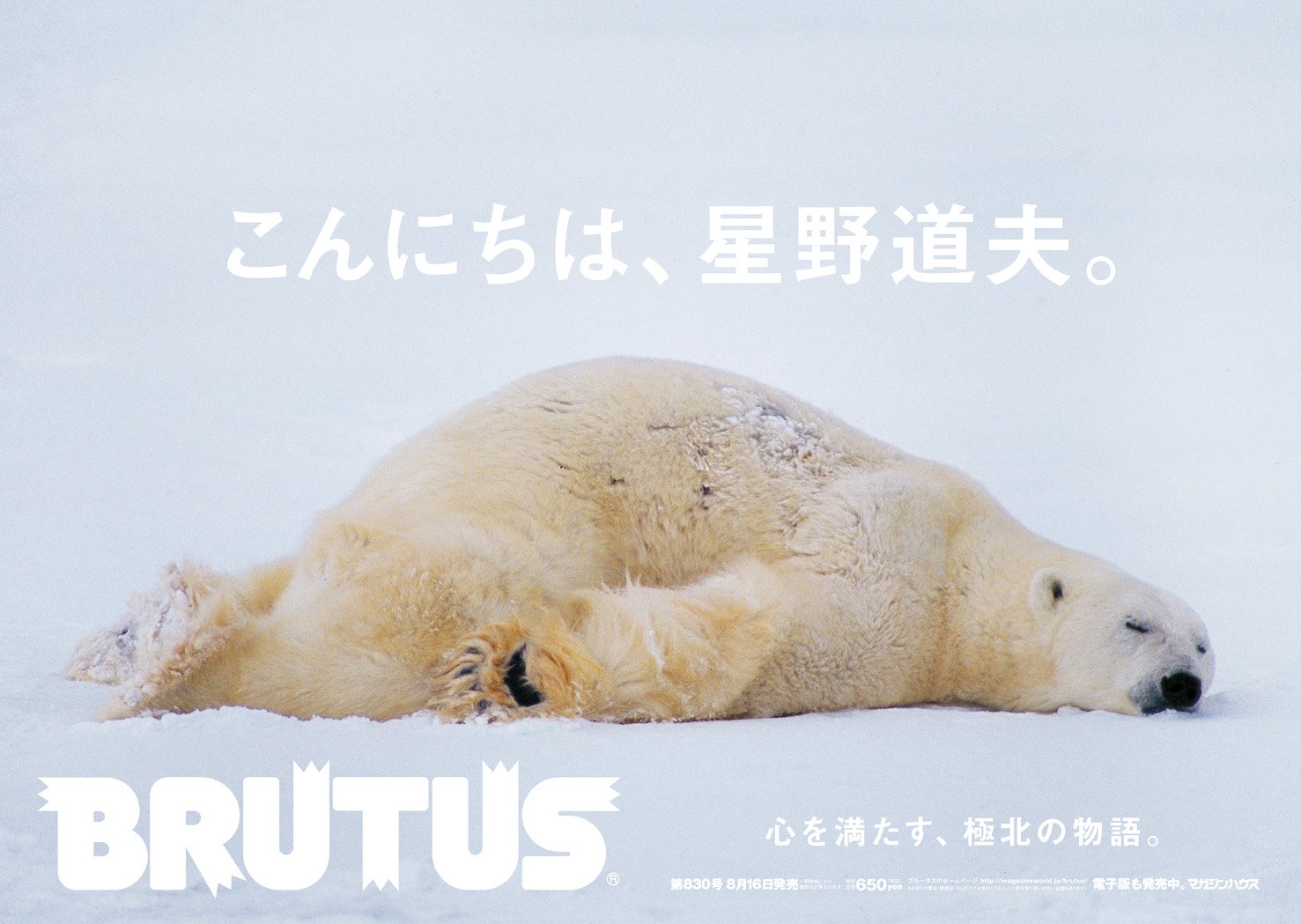 星野道夫　シロクマ親子ポスター 没後20年 特別展 星野道夫の旅」図録ギフトセット発売のお知らせ