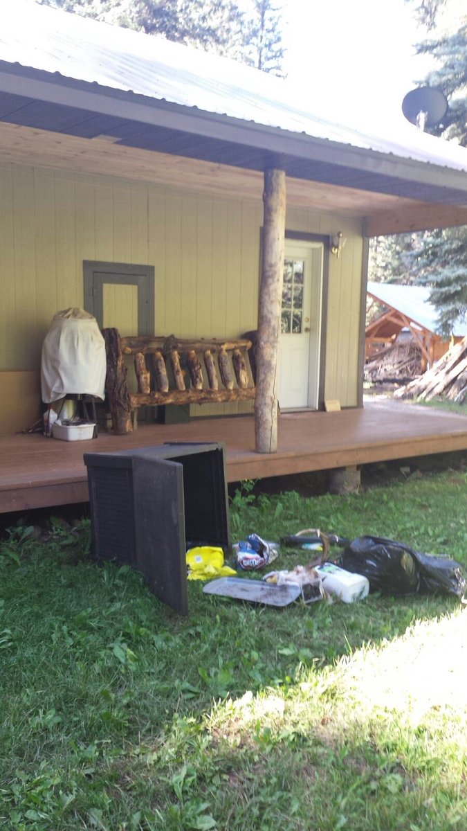 CircleK_Ranch's tweet photo. We had a visitor. Can you guess what kind? 🐻 #wildlife #nature https://t.co/tEpfPhkkxT