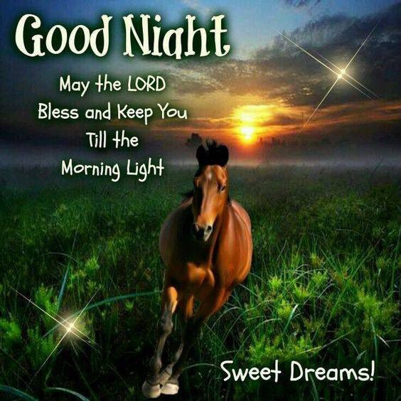 Donnas_Corner's tweet photo. https://t.co/1tsrEeYoXM