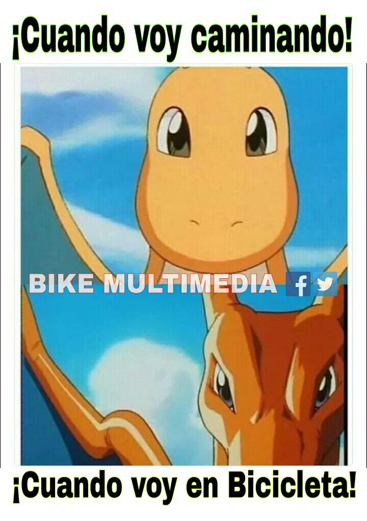 BikeMultimedia's tweet photo. #BikeGo https://t.co/ceir8i3sQI