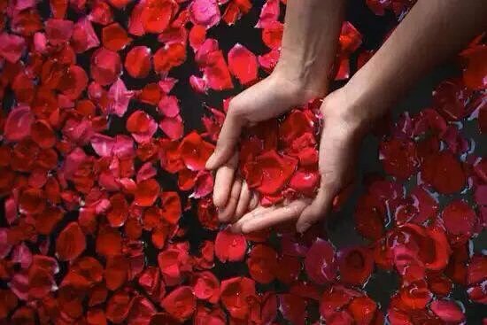 نَحن لا نسير فوق 
الماء فرحاً به ، نحن نسير 
لعلنا نبكي قليلاً بحرية كاملة .♥
#حكايه_حرف 
#أجتمعنأ_لنرتقي