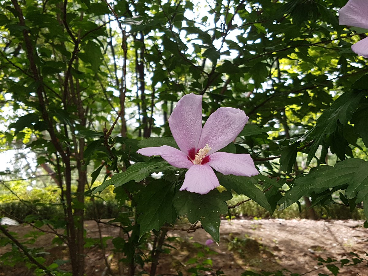 제71주년 8.15 광복절 경축식
#당신은 우리의 빛입니다.
성남시청 온누리실에서 진행중입니다.

집집마다 태극기를 게양합시다. #성남시
