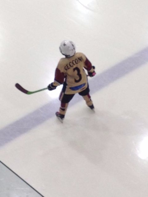 Raven builds a pro quality stick for players under 120lbs. Get your stick for evals in Ottawa at <a href="/barrhavensource/">Source for Sports</a>