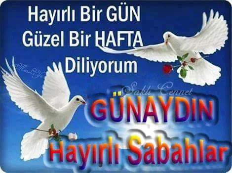 GÜNAYDIN.   HAYIRLI. SABAHLAR. ASIL. TÜRK.  MILLETI