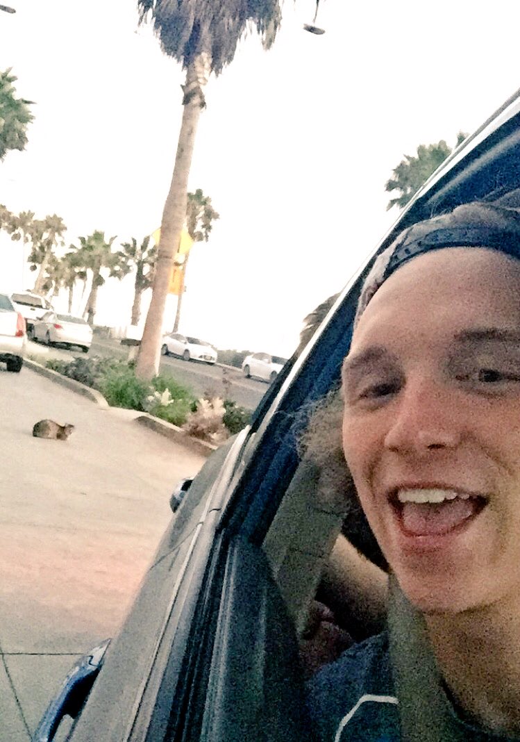 LonelyMailbox's tweet photo. Shout out to da Z Cat for holdin it down https://t.co/PQv8PSlPe6