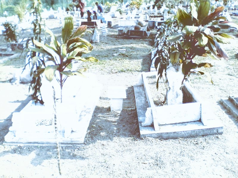 meswan sayuti&habsah rahmad.