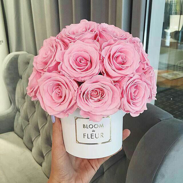 كُن أنتَ الأستثناء الجَميل 
لكُل أشكال القُبح منْ حولِك 🎶
 #قروب_البنات_للدعم
#أناقه_حرف_للدعم
#قروب_العسيري_للدعم