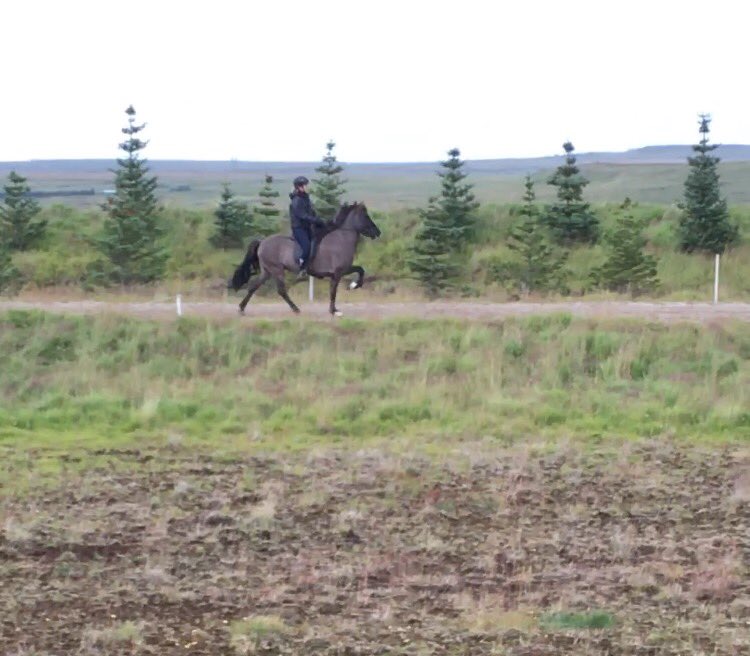 saraaandersson1's tweet photo. Flott ✨🇮🇸 https://t.co/5EQwI0uZCb