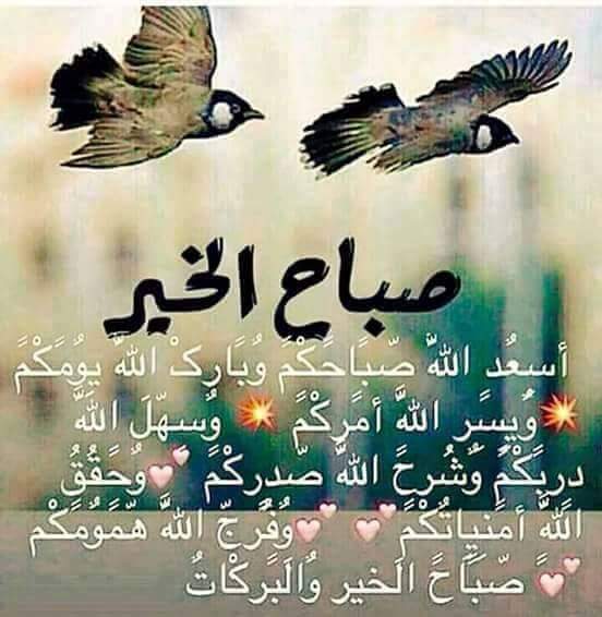 abas19811981ab2's tweet photo. صباحكم معطربتغريدبلبل https://t.co/SOeNSaJl2E