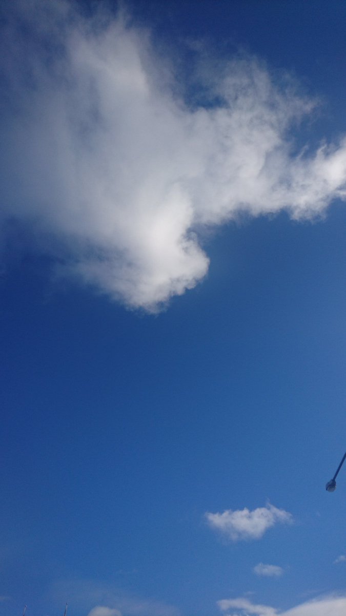 Studio42Co's tweet photo. Monday #keepittea starting off with some looking into the sky eyeballs exercise #agile #happy https://t.co/QRtI4sWquj
