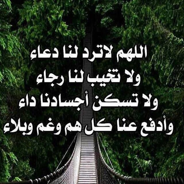 مغلق (@nos69571333) on Twitter photo 