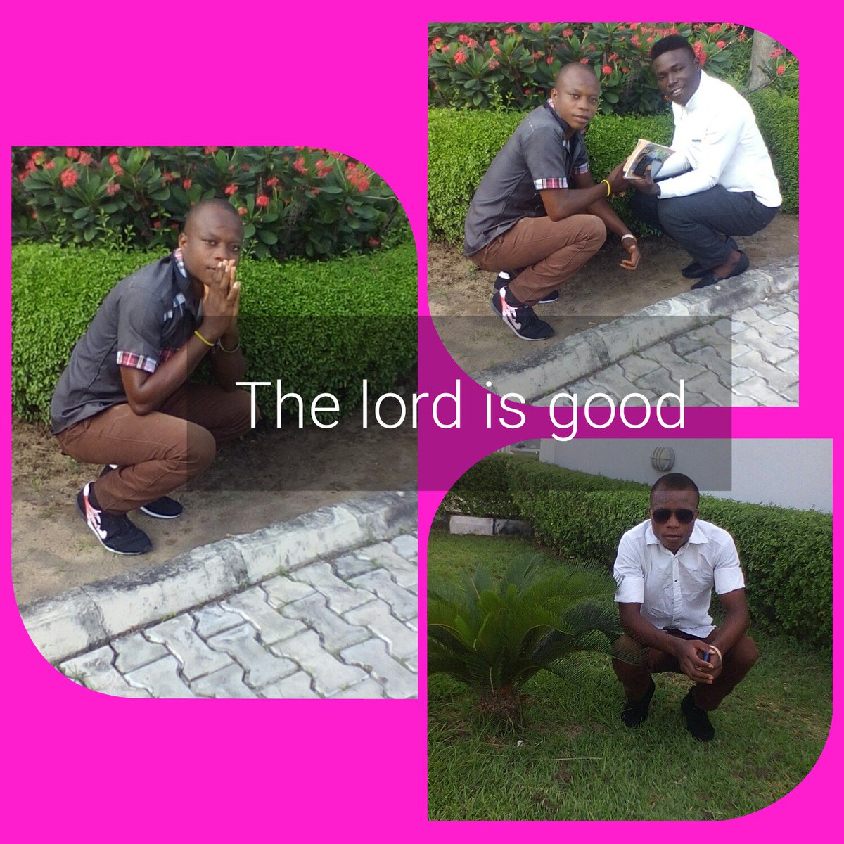 BrightColado's tweet image. 