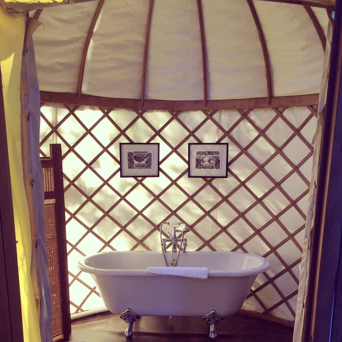 LauraGarnham's tweet photo. @HawksmanUK @Thissurreymummy we've just stayed @PrioryBayHotel staying in a yurt on the beach-look @canopyandstars https://t.co/WMZDakK6SF