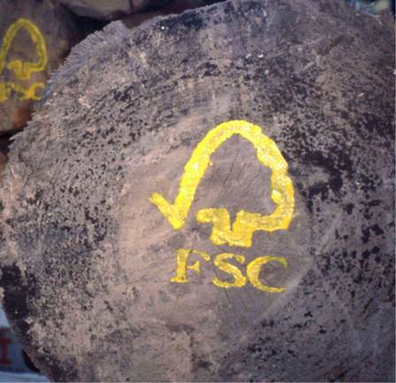 A message from the heart of a Forest Conservationist: ow.ly/l7Qu302Sdbx <a href="/WWF/">WWF</a> #FSC