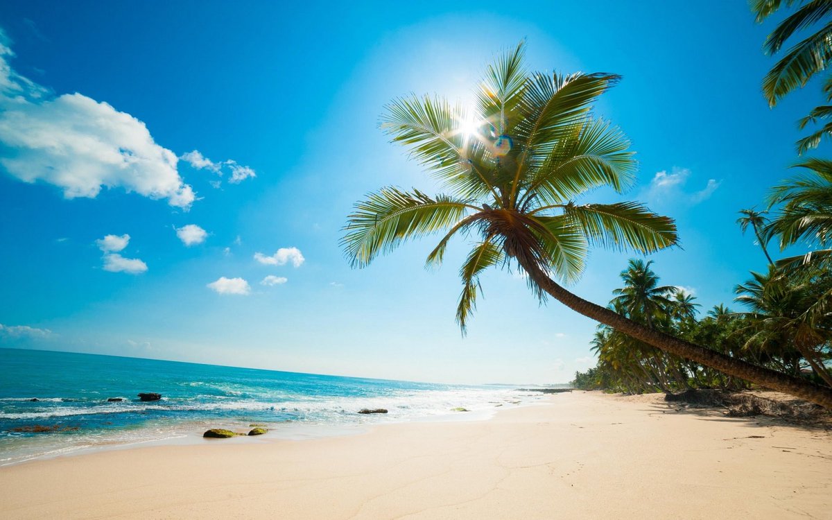 CheapHolidayHot's tweet photo. Start your week the right way #MondayMotivation #NewWeek https://t.co/KUDrLFAAk7