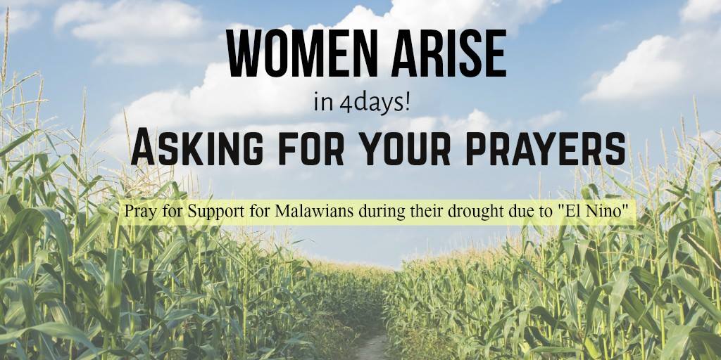 FoundMinistries's tweet image. Please Pray For Malawi's Drought!