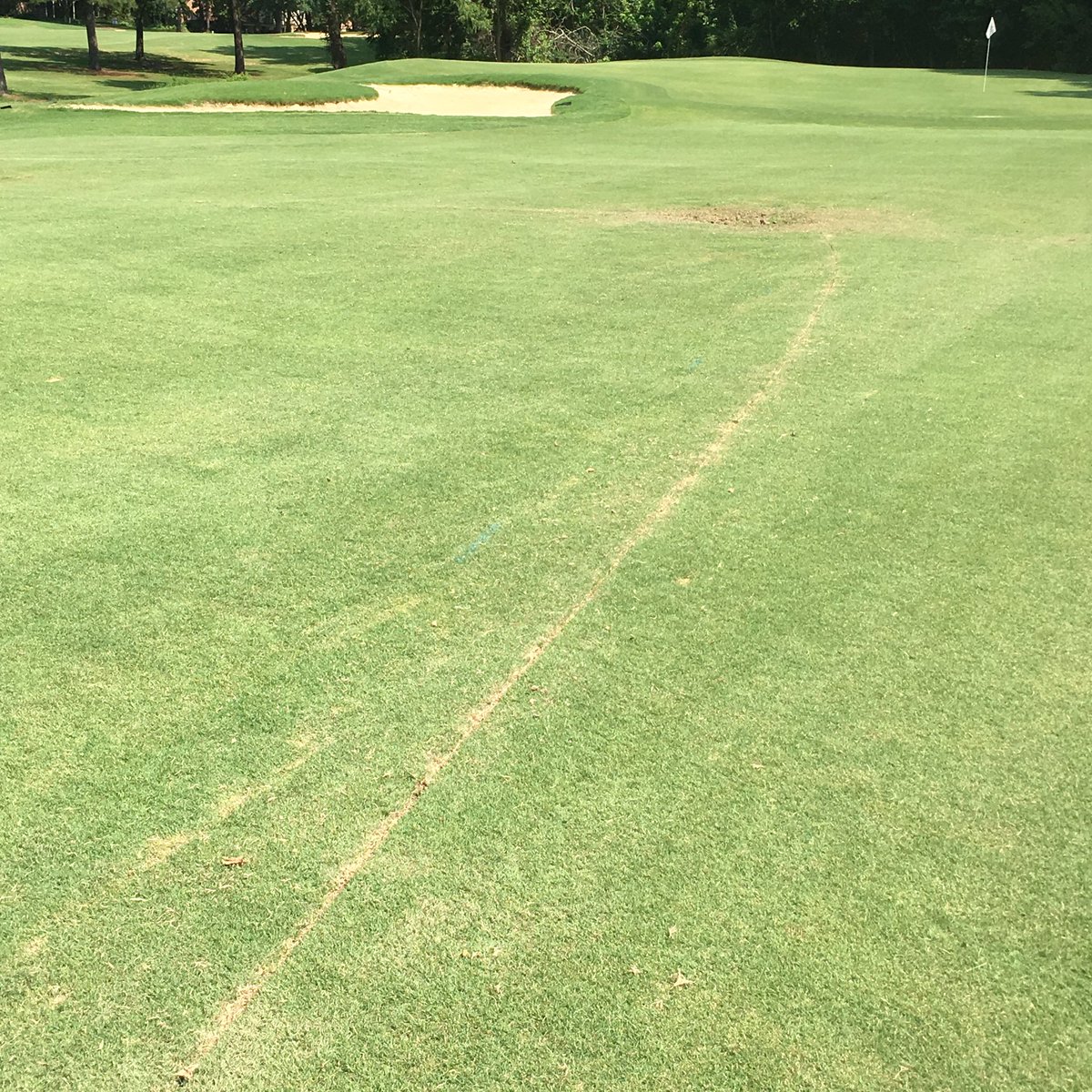 Shelton Irrigation tweet media
