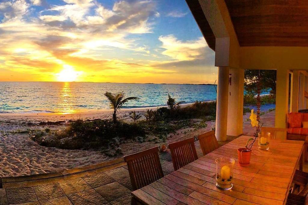 When Pigs Swim™ tweet media