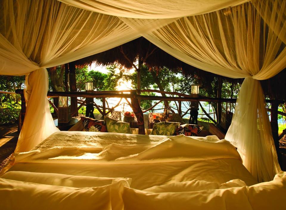 /Place: Does it get any more romantic than <a href="/DolphinFiji/">Dolphin Island Fiji</a>  ? Discover more at ELEQT.com/dolphinislandf….