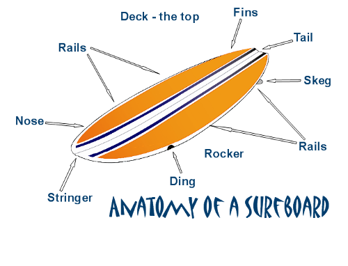 lawavesurf's tweet photo. ¡Clase de #surfología! Y si vienes a #Lawave te la daremos en vivo ;) 🌊 https://t.co/yVqjE53Mjv