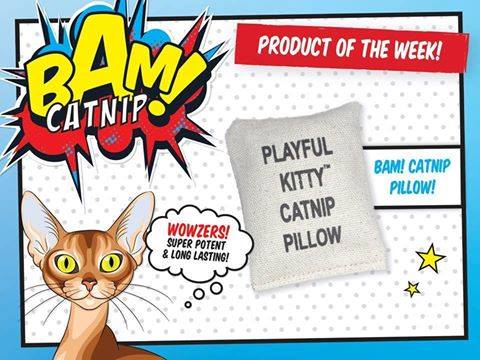 BAM_Catnip's tweet image. The BAM! Catnip Pillows are the perfect catnip filled, fun, mess-free toys for your cat!