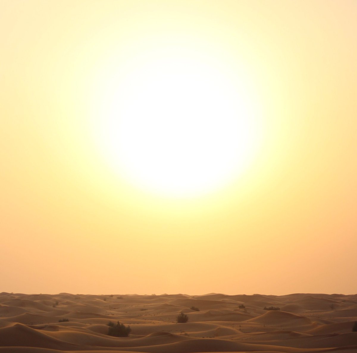 ErikSolheim's tweet photo. Extreme heat continues in Middle East. 
Impacting health &amp; food production. 
Very worrying! 
https://t.co/fNzZ1Gr1sA https://t.co/nRmWq3bccC