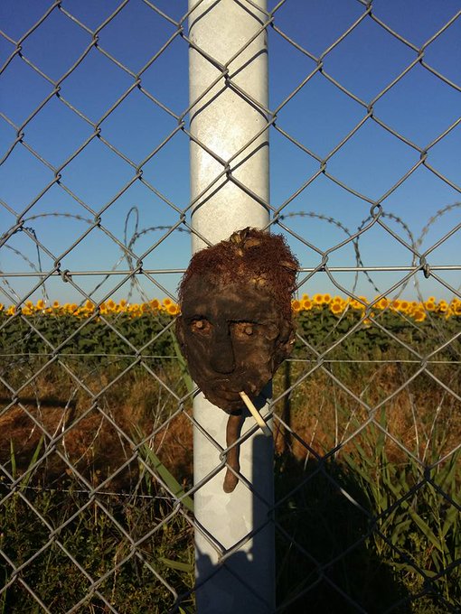 Zobacz obraz na Twitterze