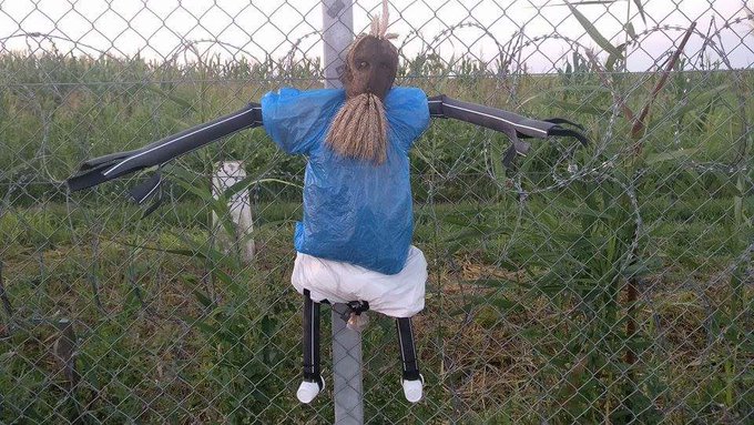 Zobacz obraz na Twitterze