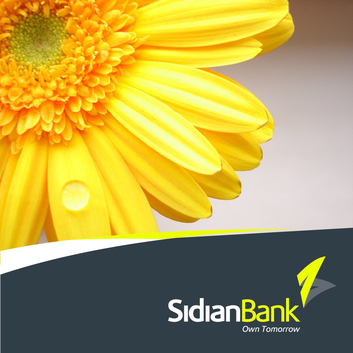 SidianBank's tweet photo. Monday Blues?Not with grey and yellow.What colours inspire hope in your life? #SidianTalks #GreyYellow #HappyNewWeek https://t.co/AiIUY7WJaX