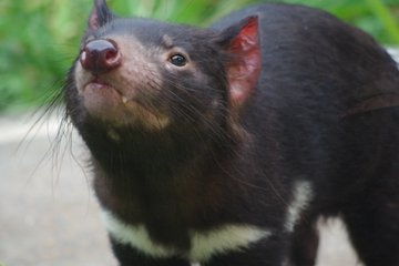 多摩動物公園駐車場のおすすめは 料金や営業時間 無料の穴場もあり Travelnote トラベルノート