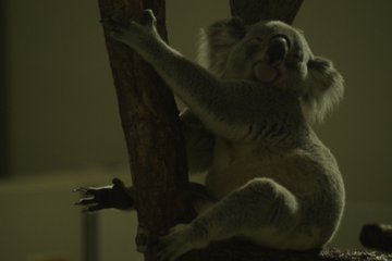 多摩動物公園駐車場のおすすめは 料金や営業時間 無料の穴場もあり Travelnote トラベルノート