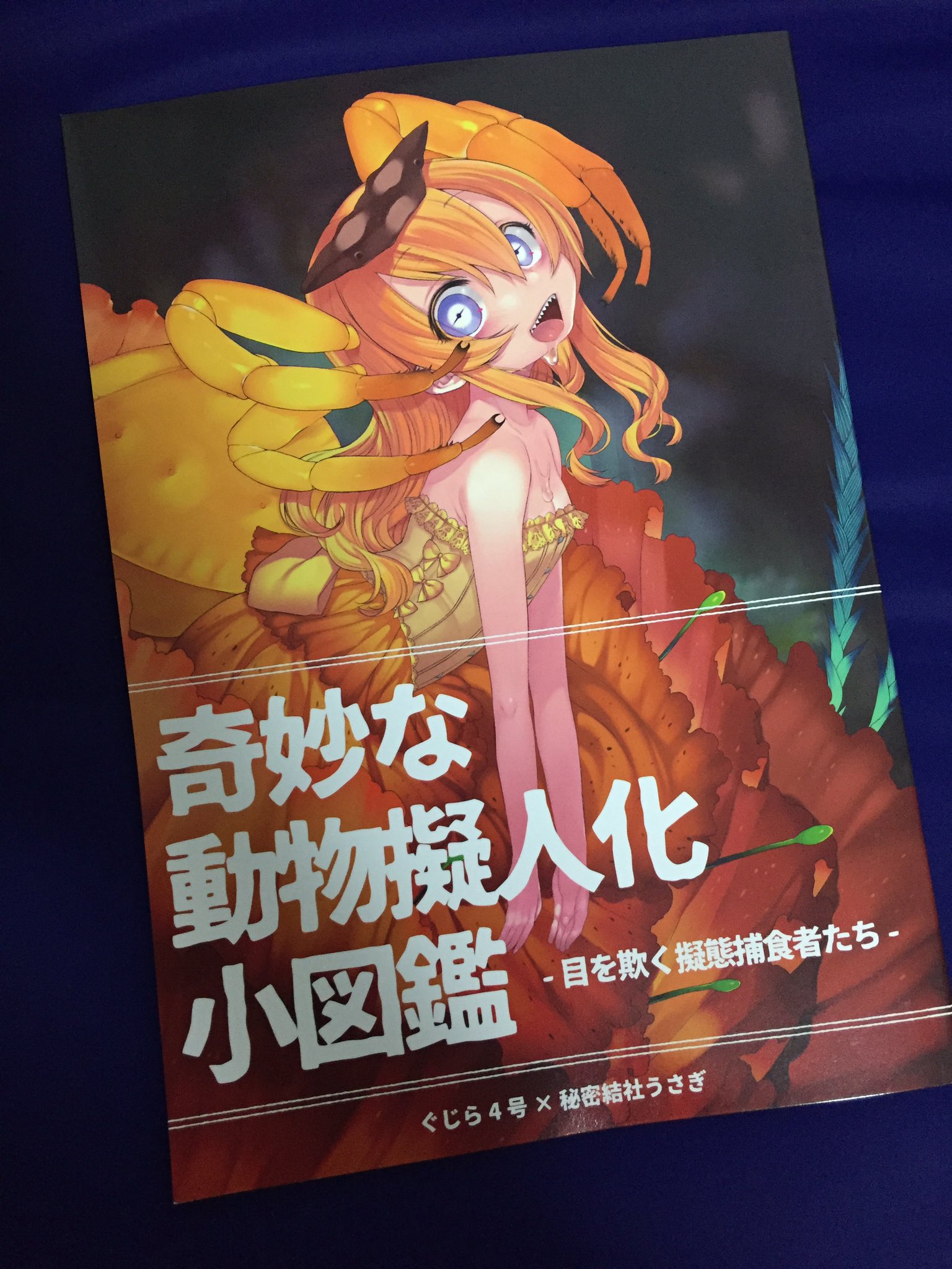トラ ぐじら さん だんちょ さんの 奇妙な動物擬人化小図鑑 擬態動物の可愛い擬人化イラスト と 興味を引く解説文がどちらも素敵 裏表紙のデフォルメウツボカズラちゃんとカエルアンコウちゃんも可愛い 本文でもお気に入りの2人でした T