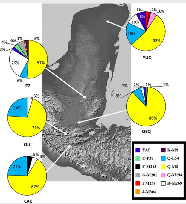 AnaidDiazP's tweet image. Mayan show genetic homogeneity with two predominant Asian haplogroups goo.gl/qVL5DF published in #EJHG