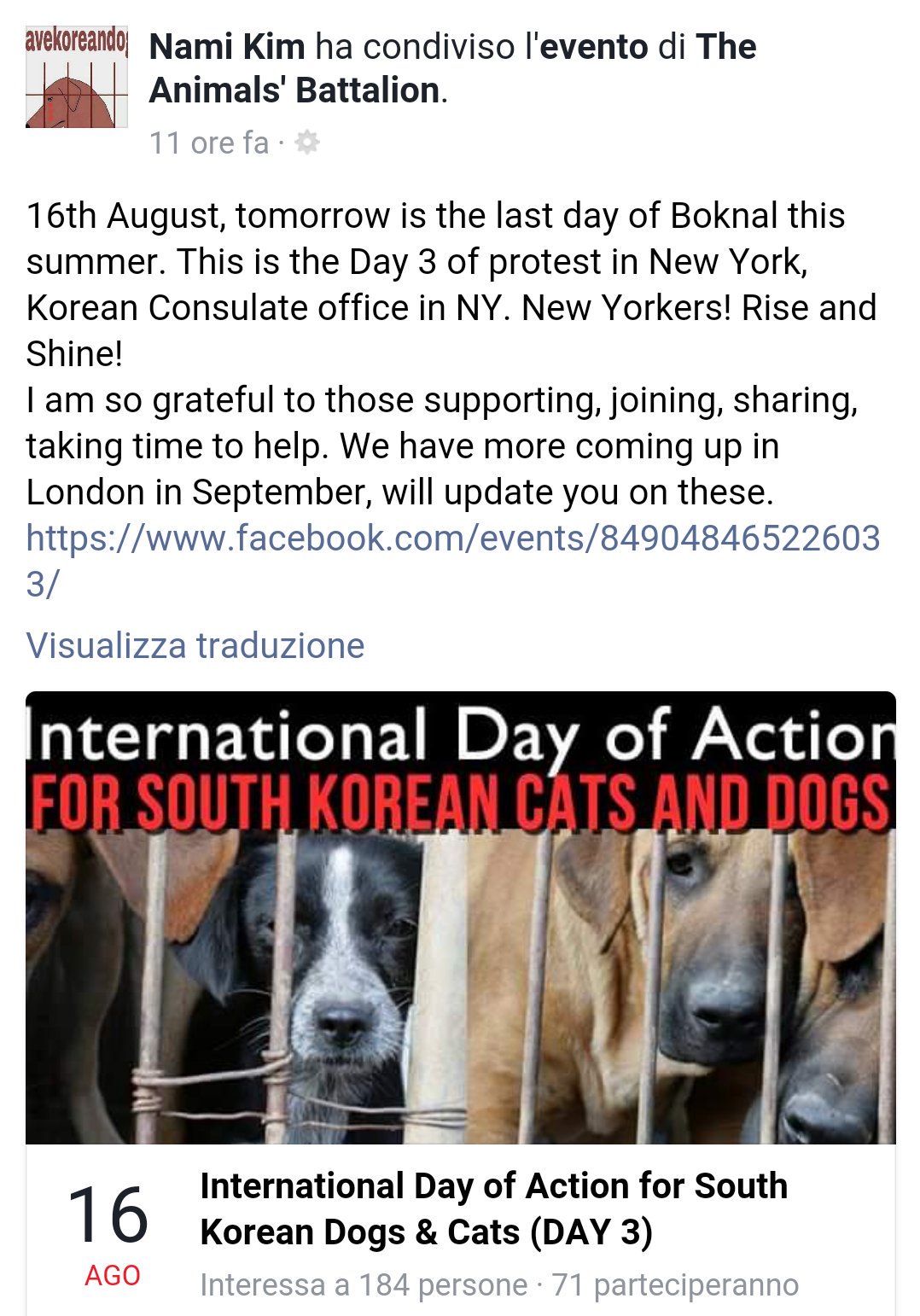 Koreandogs On Twitter Animals Battalion S Protest Newyork Tomorrow August 16 The Last Day Of Boknal ℹhttps T Co Bwwqekhwbt