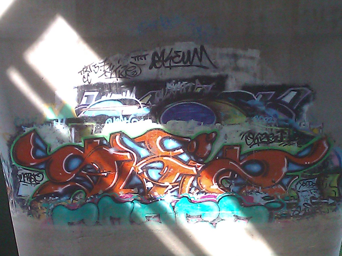 skize2 tweet picture