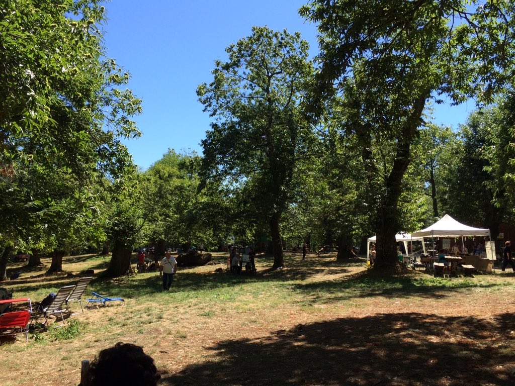 biagiotti_b's tweet image. #buonferragosto #collinemetallifere #Montieri #Siena #Tuscany @AroundSiena   @ToscanaDiscover @ToscananelCuore