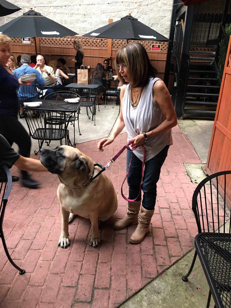 UPawfect's tweet photo. Dropping off #biscuits w/ #bacon @ one of r favorites #letiziasnaturalbakery on division https://t.co/ICB6Ve90hg