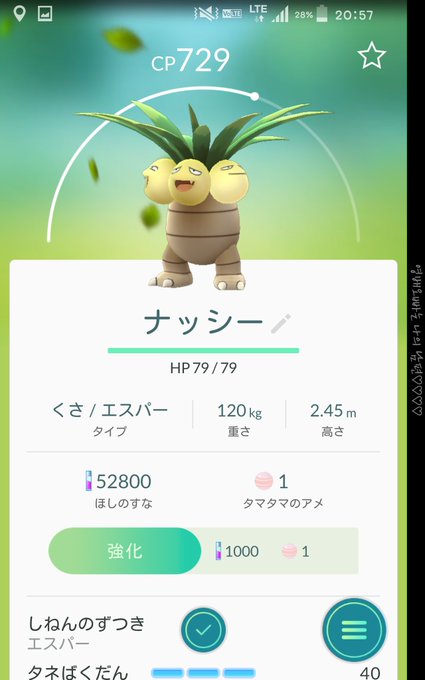 ポケモンgo愛知 名城公園にハクリュー定期出現ポイントが レア出現 巣レポ8 13 ふと雑記ブログ