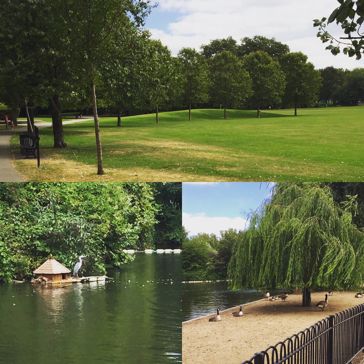 hall_bethr's tweet photo. Southwark Park 😍 #sunny #casualstroll https://t.co/dxSEdaQ05n
