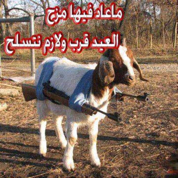 عراقيه وأفتخر (@konekone510) on Twitter photo 