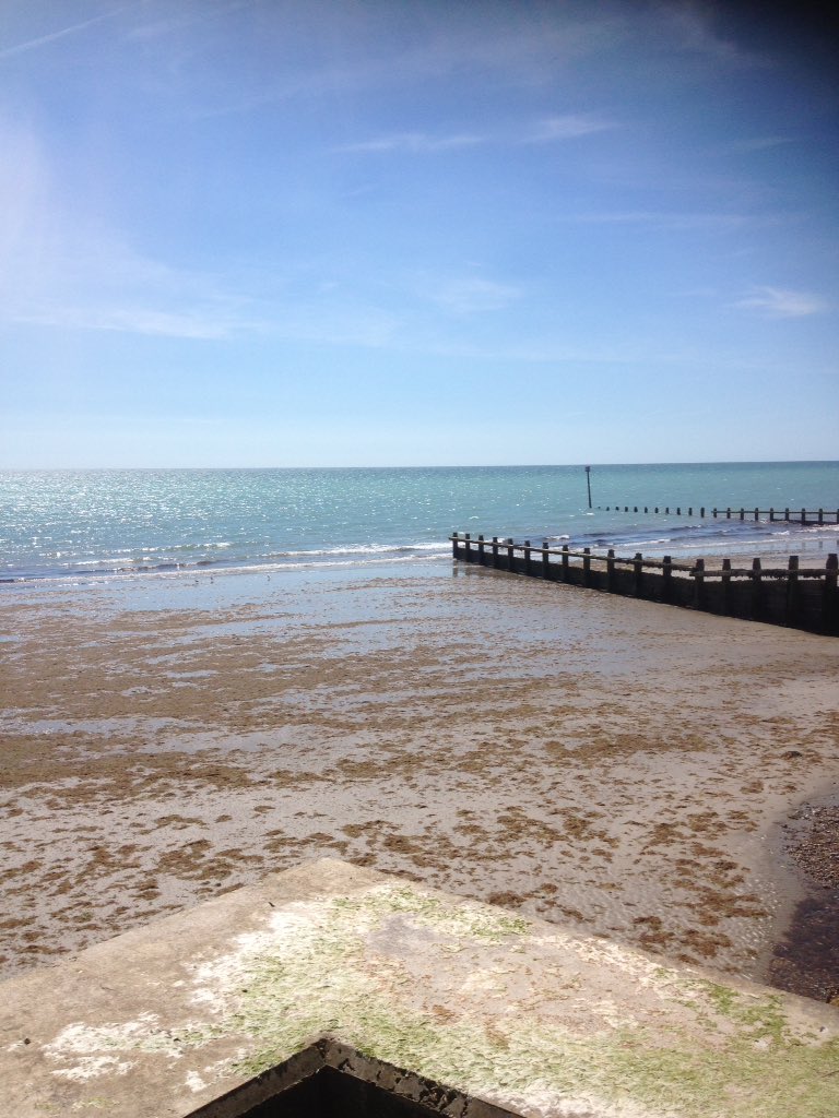 Swanton_Sam's tweet image. Great lunchtime views Part 2. Mind you, a wasp is after my ginger beer 🐝🍺