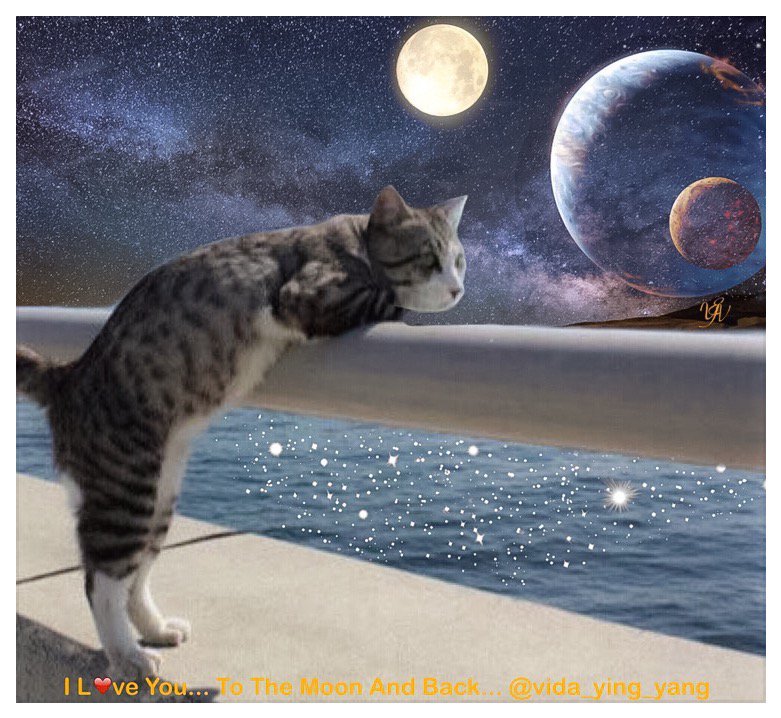 vida_ying_yang's tweet photo. https://t.co/P3ZSWtkEfi
I Think Of Y❤️u... 🌻❤️😊 https://t.co/8bzNVi4EPT