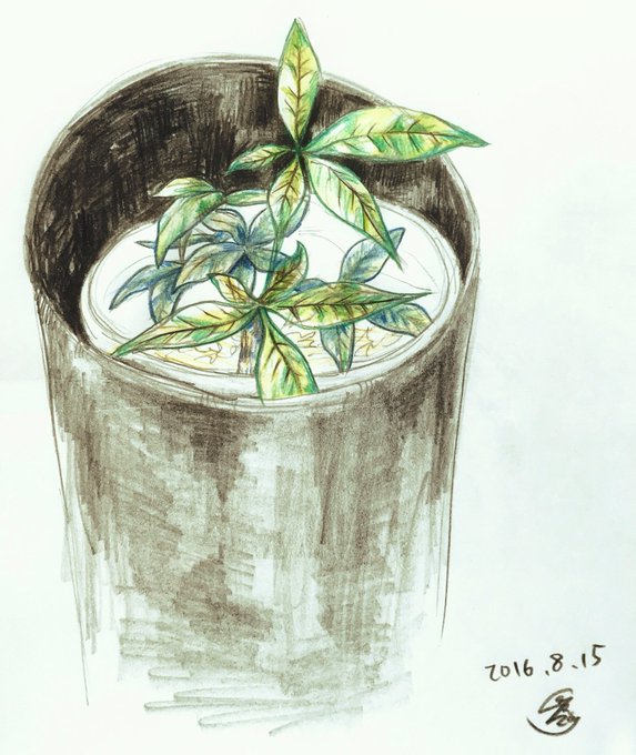 パキラのtwitterイラスト検索結果 古い順