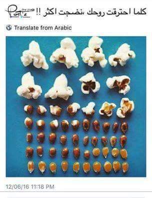 Hadeel Faidi (@hadeelfaidi) on Twitter photo 