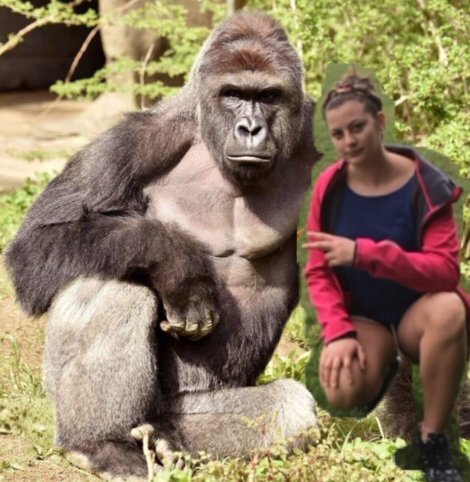 sophiaprouty's tweet image. #4picswhereiwasthehappiest Bc I was truly only happy when I was with him #RIPHarambe