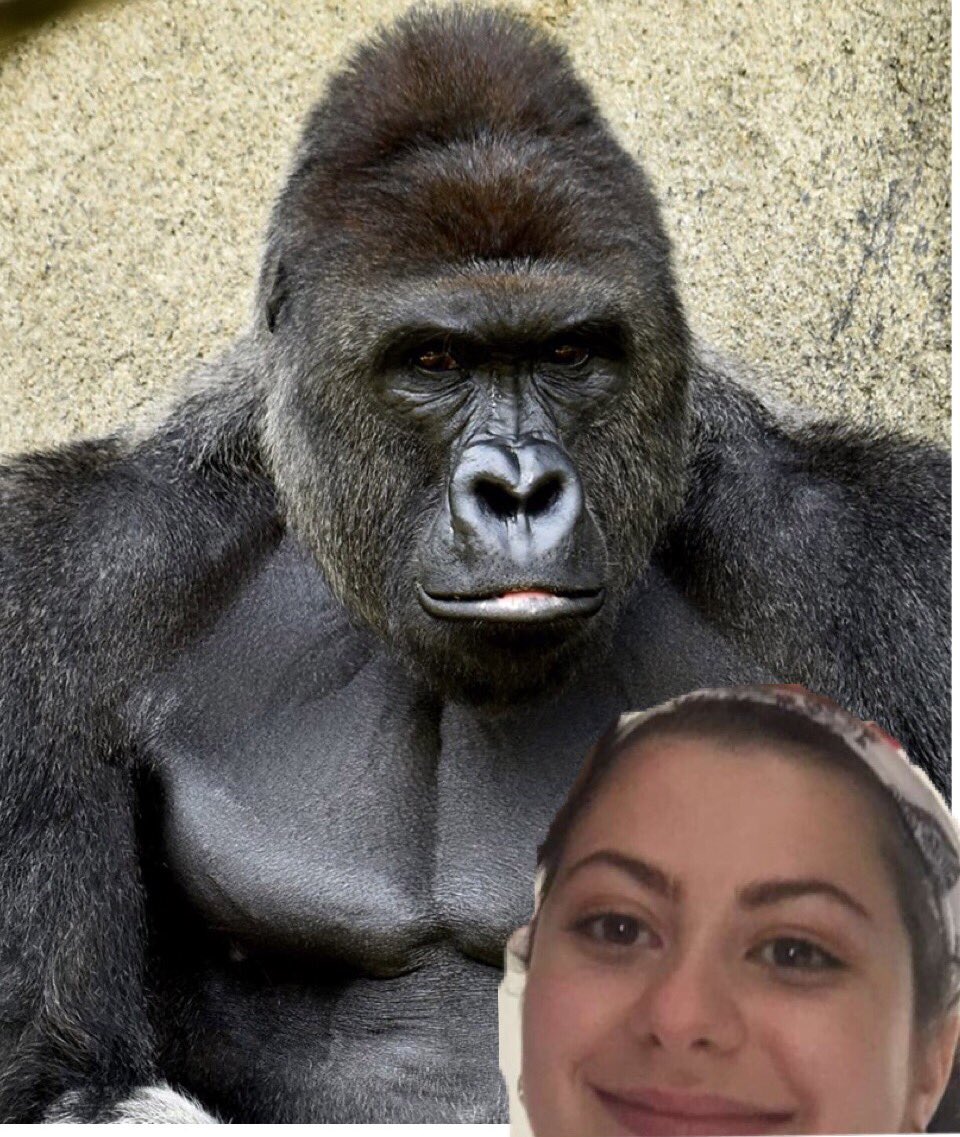 sophiaprouty's tweet image. #4picswhereiwasthehappiest Bc I was truly only happy when I was with him #RIPHarambe