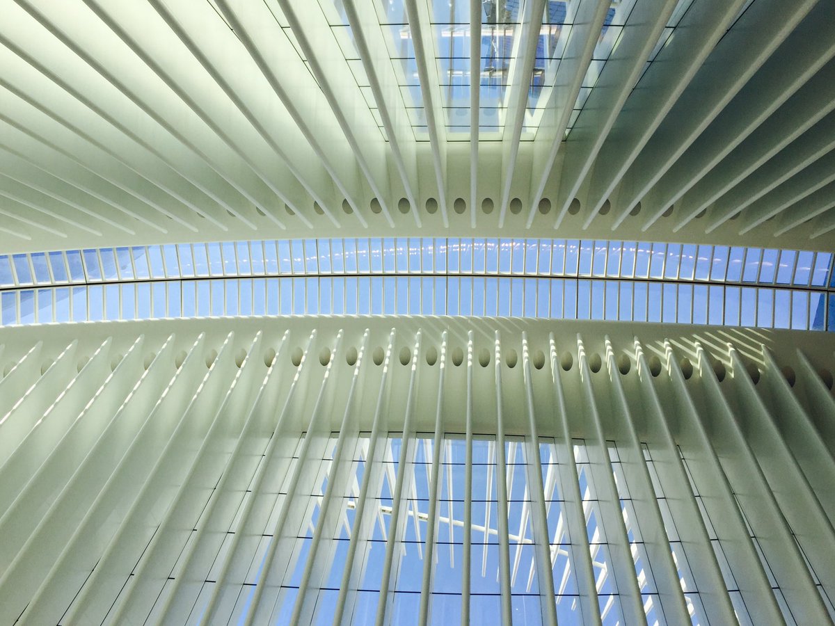 Always looking up ⬆️ #WorldTradeCenter #architecture #calatrava #MondayMuse