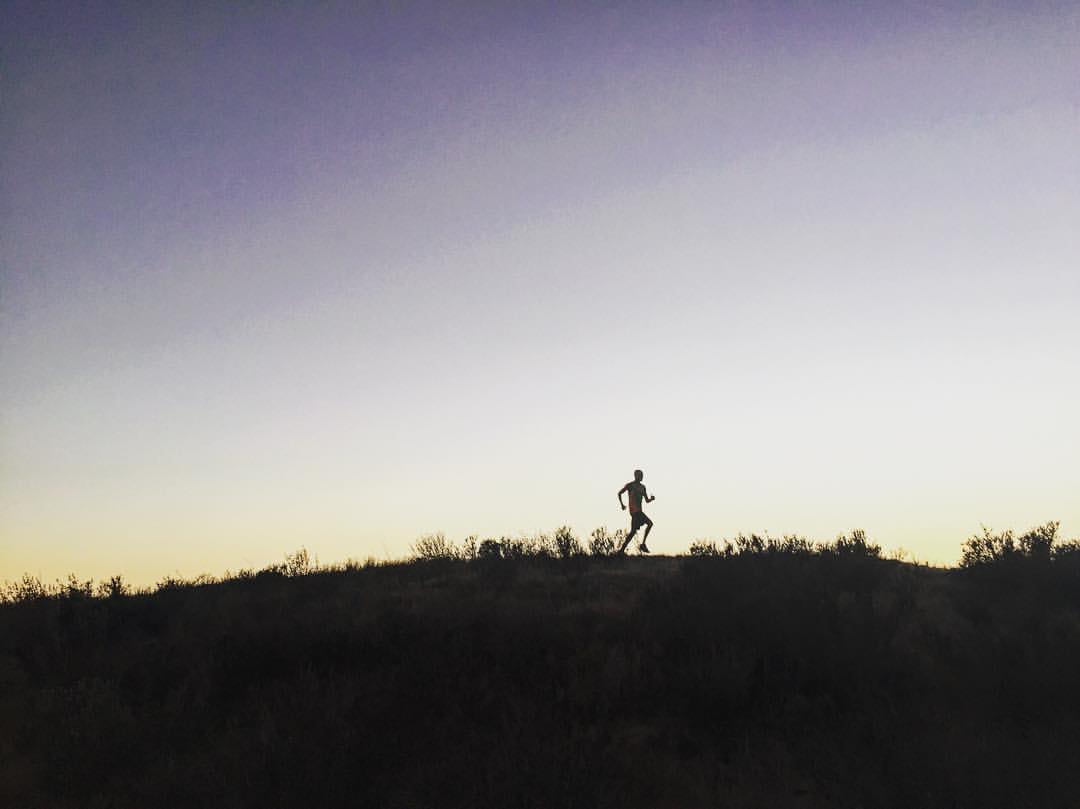 Winterstone Pictures tweet media