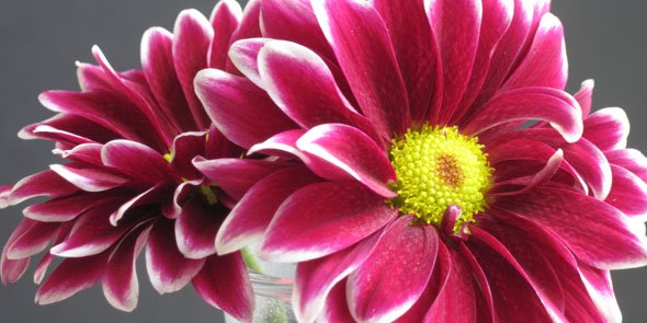 One of Haddonfield’s great jewels and best kept secret. <a href="/Markeim104/">Markeim Arts Center</a> #membermonday #sharemynj  #visitsouthjersey